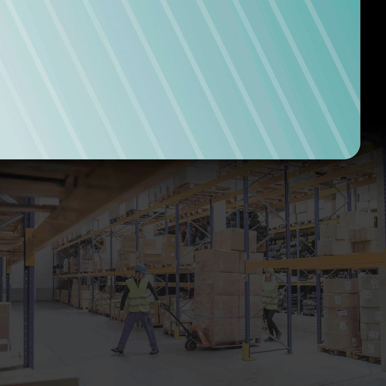 SAPB1 SHOPIFY Cindercone